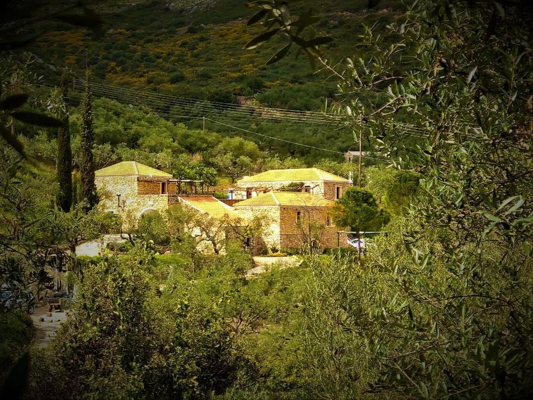 Tsivouli Accommodation Lithakia  Extérieur photo
