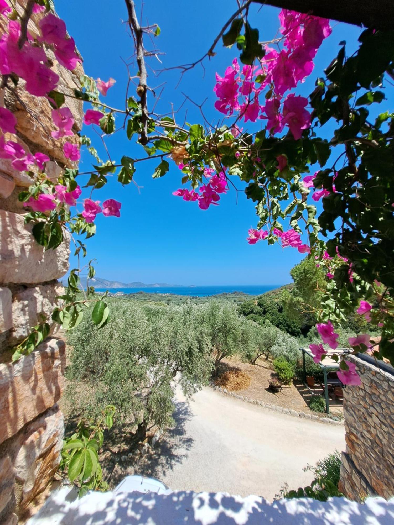 Tsivouli Accommodation Lithakia  Extérieur photo